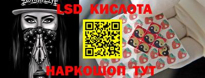 СК Новозыбков