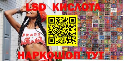 СК Новозыбков